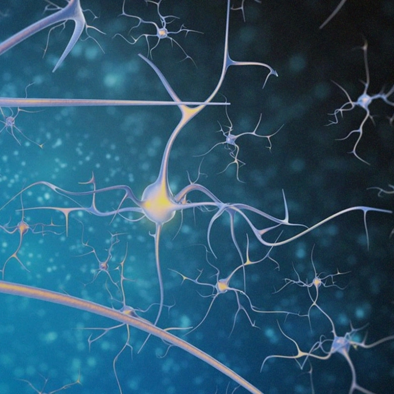 Flexibilidade cognitiva e tecnologia: uma via de mão dupla